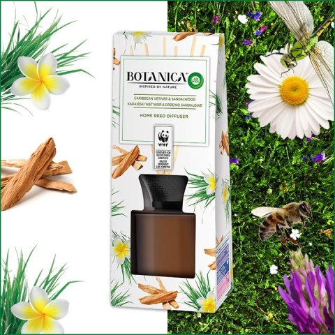 Botanica by Air Wick Karaibski Wetiwer & Drzewo Sandałowe/Caribbean Vetiver & Sandalwood 80ml Patyczki Zapachowe Botanica by Air Wick Karaibski Wetiwer & Drzewo Sandałowe/Caribbean Vetiver & Sandalwood 80ml Patyczki Zapachowe