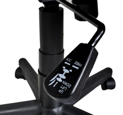 Fotel Biurowy Obrotowy Ergonomiczny / Czarny / MALATEC