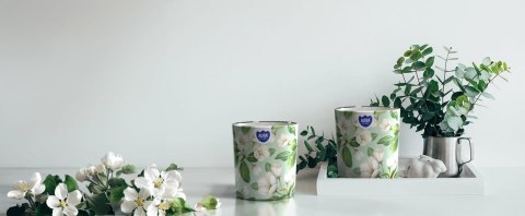 AURA Świeca Zapachowa TAJEMNICZA PACZULA 22h sn72s-55 AURA Świeca Zapachowa TAJEMNICZA PACZULA 22h sn72s-55