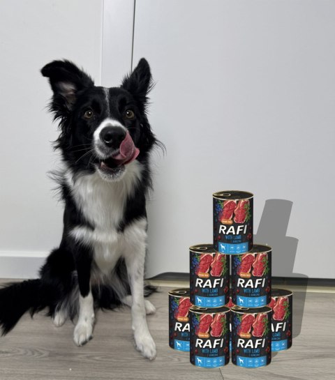 Karma Mokra Dla Psów RAFI z Jagnięciną, Borówką i Żurawiną 400g - 48 szt. Karma Mokra Dla Psów RAFI z Jagnięciną, Borówką i Żurawiną 400g - 48 szt.