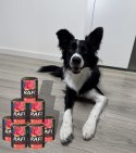 Karma Mokra Dla Psów RAFI z Wołowiną, Borówką i Żurawiną 400g - 1 szt.
