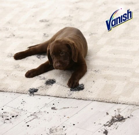 VANISH Pet Expert spray 500 ml VANISH Pet Expert spray 500 ml